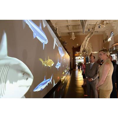 Charlène und Albert: Vergnügt 