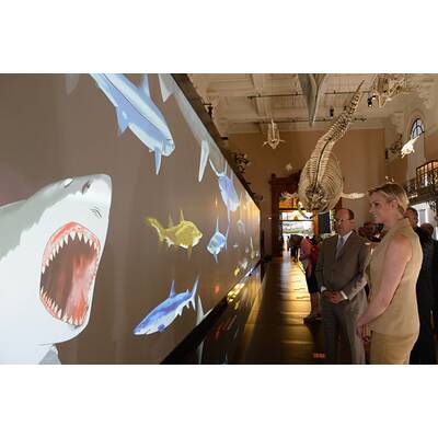 Charlène und Albert: Vergnügt 