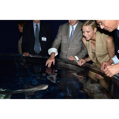 Charlène und Albert: Vergnügt 