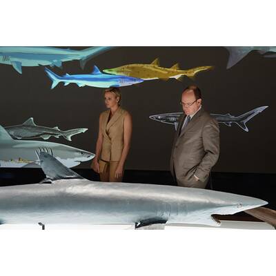 Charlène und Albert: Vergnügt 