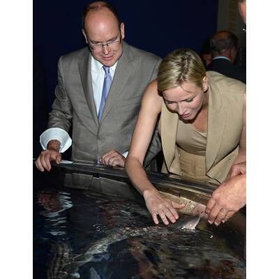 Charlène und Albert: Vergnügt 