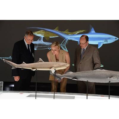 Charlène und Albert: Vergnügt 