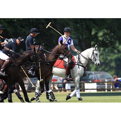 Prinz William und Prinz Harry beim Polo-Turnier