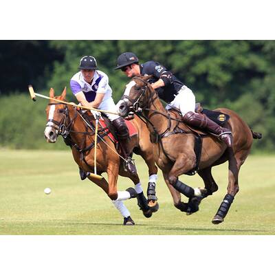 Prinz William und Prinz Harry beim Polo-Turnier