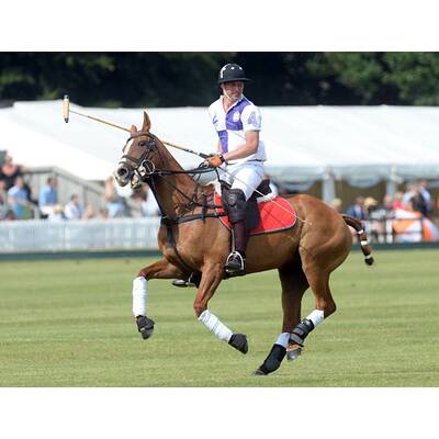 Prinz William und Prinz Harry beim Polo-Turnier