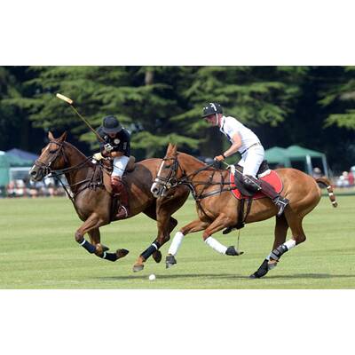 Prinz William und Prinz Harry beim Polo-Turnier