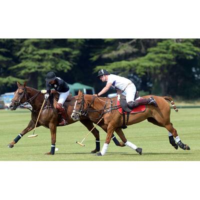 Prinz William und Prinz Harry beim Polo-Turnier