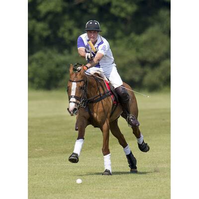 Prinz William und Prinz Harry beim Polo-Turnier