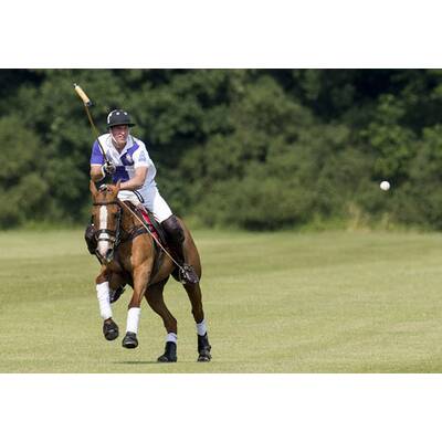 Prinz William und Prinz Harry beim Polo-Turnier