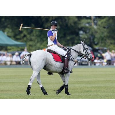 Prinz William und Prinz Harry beim Polo-Turnier