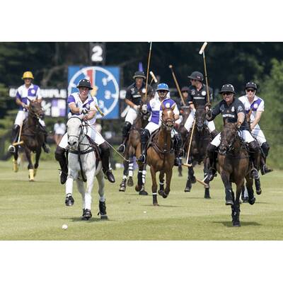 Prinz William und Prinz Harry beim Polo-Turnier