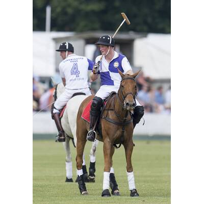 Prinz William und Prinz Harry beim Polo-Turnier