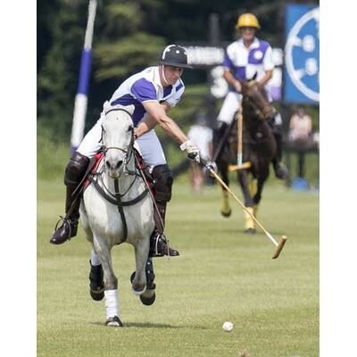 Prinz William und Prinz Harry beim Polo-Turnier