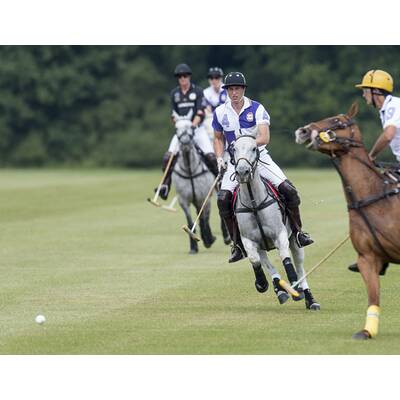 Prinz William und Prinz Harry beim Polo-Turnier