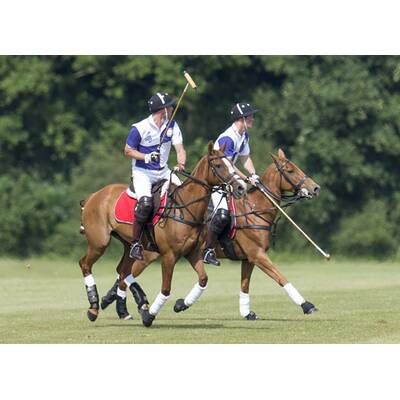 Prinz William und Prinz Harry beim Polo-Turnier