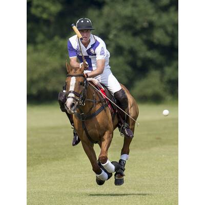 Prinz William und Prinz Harry beim Polo-Turnier