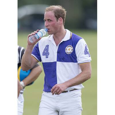 Prinz William und Prinz Harry beim Polo-Turnier