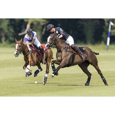 Prinz William und Prinz Harry beim Polo-Turnier