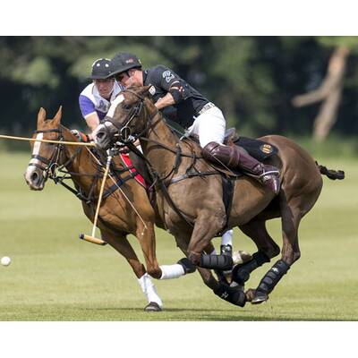 Prinz William und Prinz Harry beim Polo-Turnier