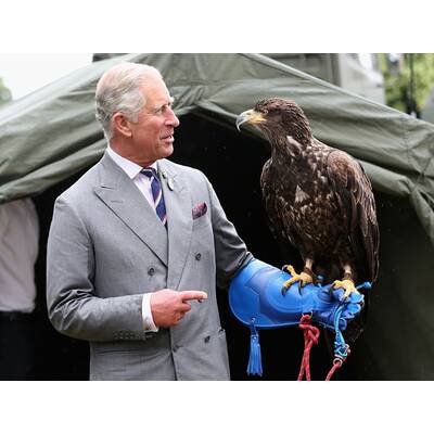 Prinz Charles ist todesmutig