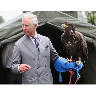 Prinz Charles ist todesmutig