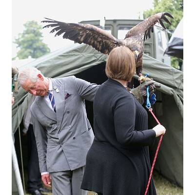 Prinz Charles ist todesmutig