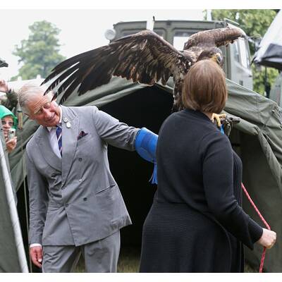 Prinz Charles ist todesmutig