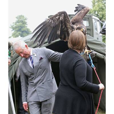 Prinz Charles ist todesmutig