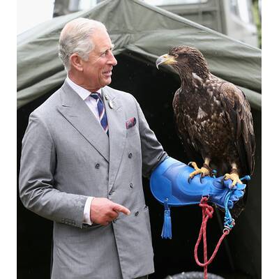 Prinz Charles ist todesmutig