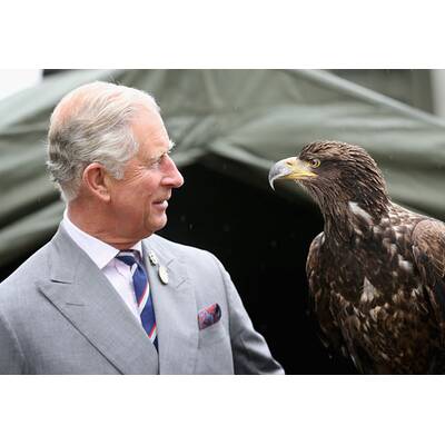 Prinz Charles ist todesmutig