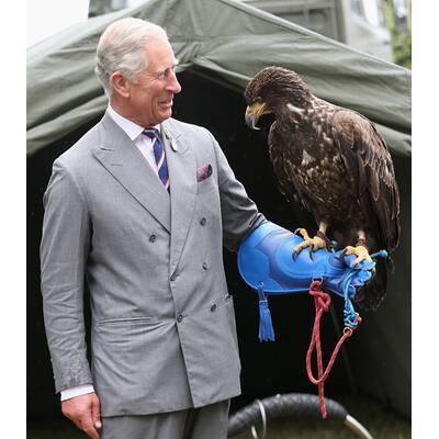 Prinz Charles ist todesmutig