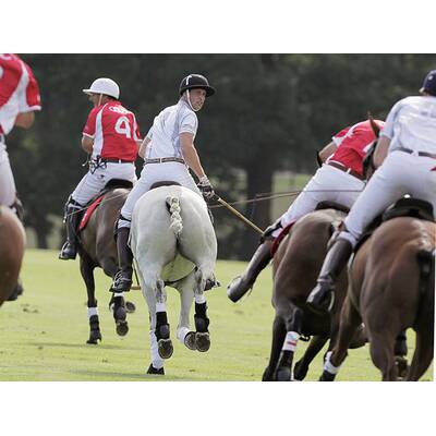 Prinz William & Harry beim Polo-Turnier in Ascot