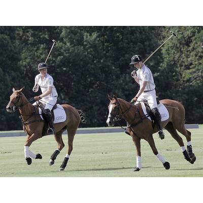Prinz William & Harry beim Polo-Turnier in Ascot