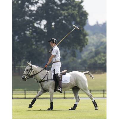 Prinz William & Harry beim Polo-Turnier in Ascot