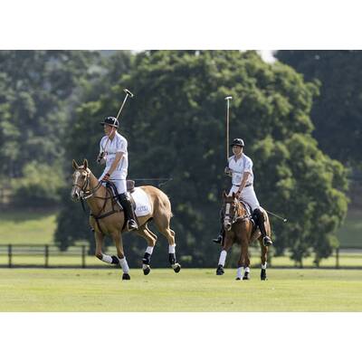 Prinz William & Harry beim Polo-Turnier in Ascot