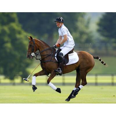 Prinz William & Harry beim Polo-Turnier in Ascot