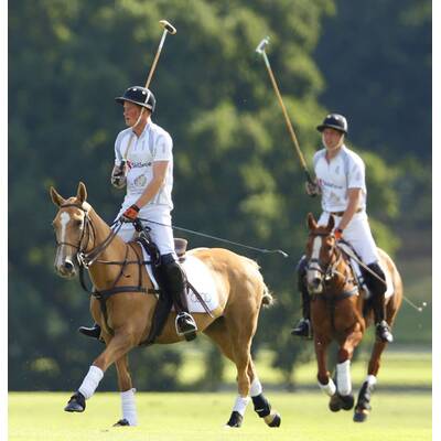 Prinz William & Harry beim Polo-Turnier in Ascot