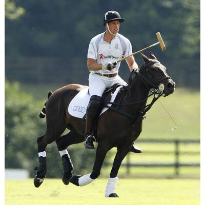 Prinz William & Harry beim Polo-Turnier in Ascot