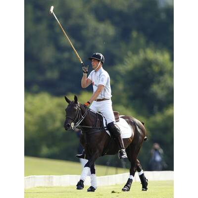 Prinz William & Harry beim Polo-Turnier in Ascot