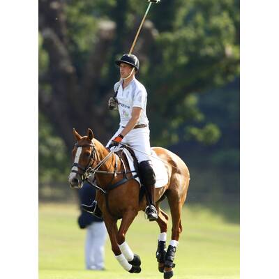 Prinz William & Harry beim Polo-Turnier in Ascot