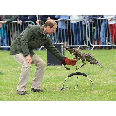 Prinz William macht's Charles nach