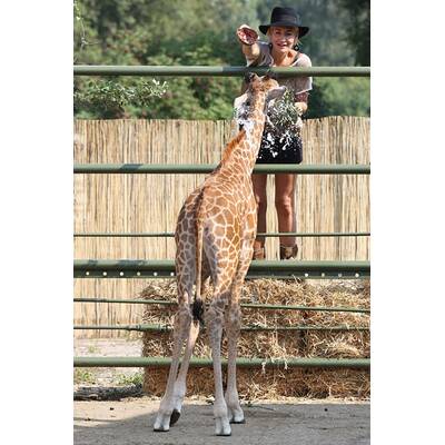 Sarah Connor hat ein Herz für Tiere