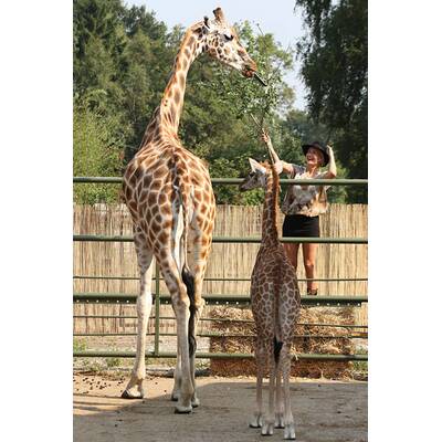 Sarah Connor hat ein Herz für Tiere