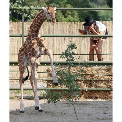 Sarah Connor hat ein Herz für Tiere