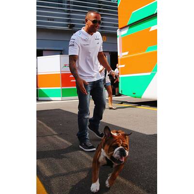 Formel-1-Pilot Lewis Hamilton liebt Hund Roscoe