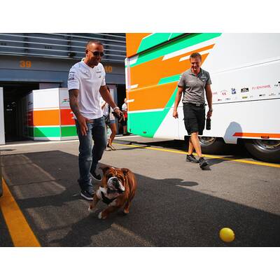 Formel-1-Pilot Lewis Hamilton liebt Hund Roscoe