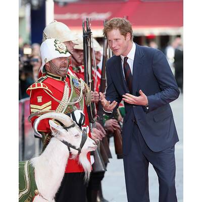 Prinz Harry streichelt Bock und lässt sich umarmen