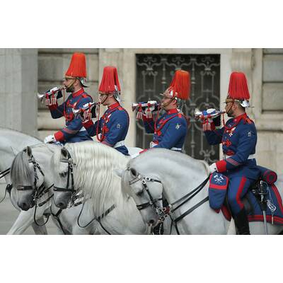 König Felipe & Königin Letizia: Der Thronwechsel