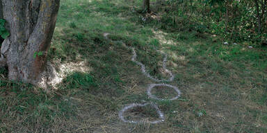 Lynchjustiz nach brutaler  Sex-Attacke