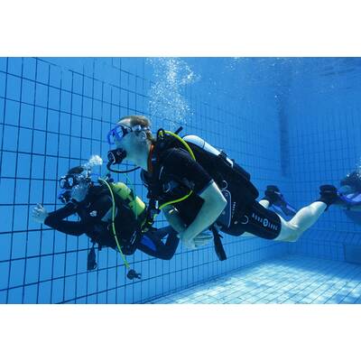 Prinz William macht unter Wasser eine gute Figur